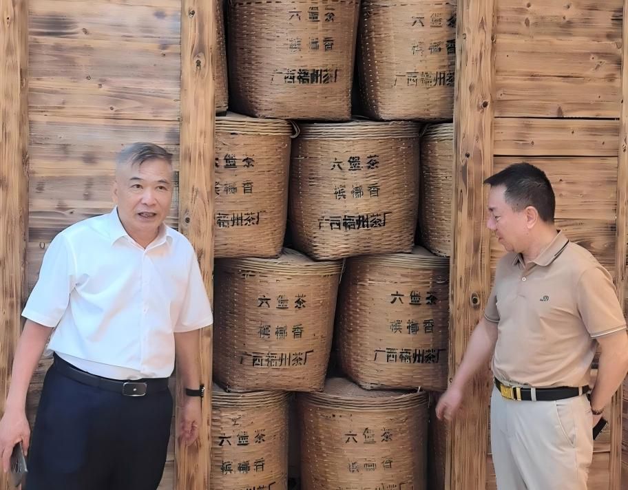 深化企协联动 赋能桂茶发展——广西农业龙头企业行业协会赴梧州茶厂开展走访交流